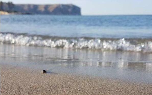 Acogedor Y Precioso Atico En Javea Primera Linea Playa Exteriör bild